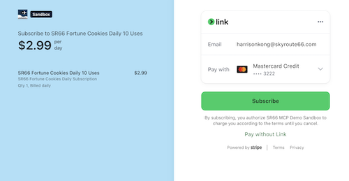 Screenshot Payment Checkout